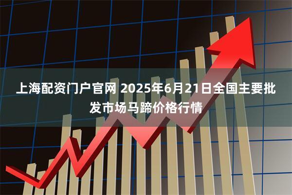 上海配资门户官网 2025年6月21日全国主要批发市场马蹄价格行情