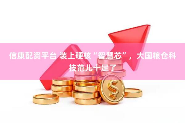 信康配资平台 装上硬核“智慧芯”，大国粮仓科技范儿十足了