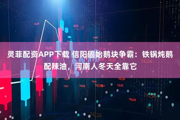 灵菲配资APP下载 信阳固始鹅块争霸：铁锅炖鹅配辣油，河南人冬天全靠它