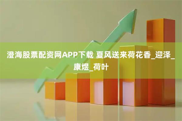 澄海股票配资网APP下载 夏风送来荷花香_迎泽_康煜_荷叶