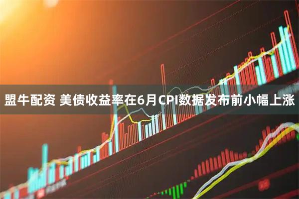 盟牛配资 美债收益率在6月CPI数据发布前小幅上涨