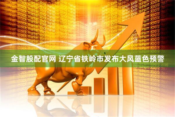 金智股配官网 辽宁省铁岭市发布大风蓝色预警